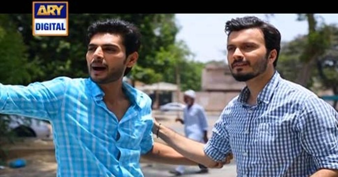 Shehzada Saleem Episode 80 on Ary Digital in High Quality 30th May 2016