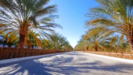 Algérie: LA GAZELLE D’OR Resort & SPA El Oued ALGÉRIE