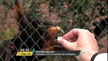 Animais do Zoológico de Curitiba têm cuidado especial nos dias de muito frio