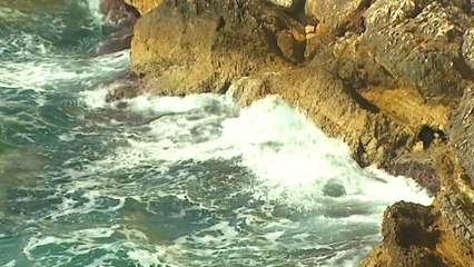 Det i kaltër dhe...i ndotur  - Top Channel Albania - News - Lajme