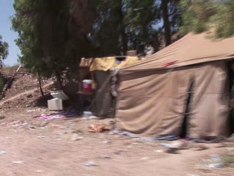 Les forces irakiennes entrent dans Fallouja, bastion de l'EI