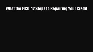 READbookWhat the FICO: 12 Steps to Repairing Your CreditREADONLINE