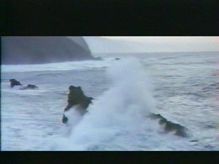 Neil Diamond - Jonathan Livingston Goeland