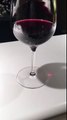 Elegance Measuring Wine Glass by Mr. Pickky