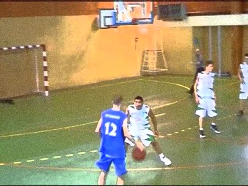 MANu selimovic