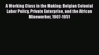Read A Working Class in the Making: Belgian Colonial Labor Policy Private Enterprise and the