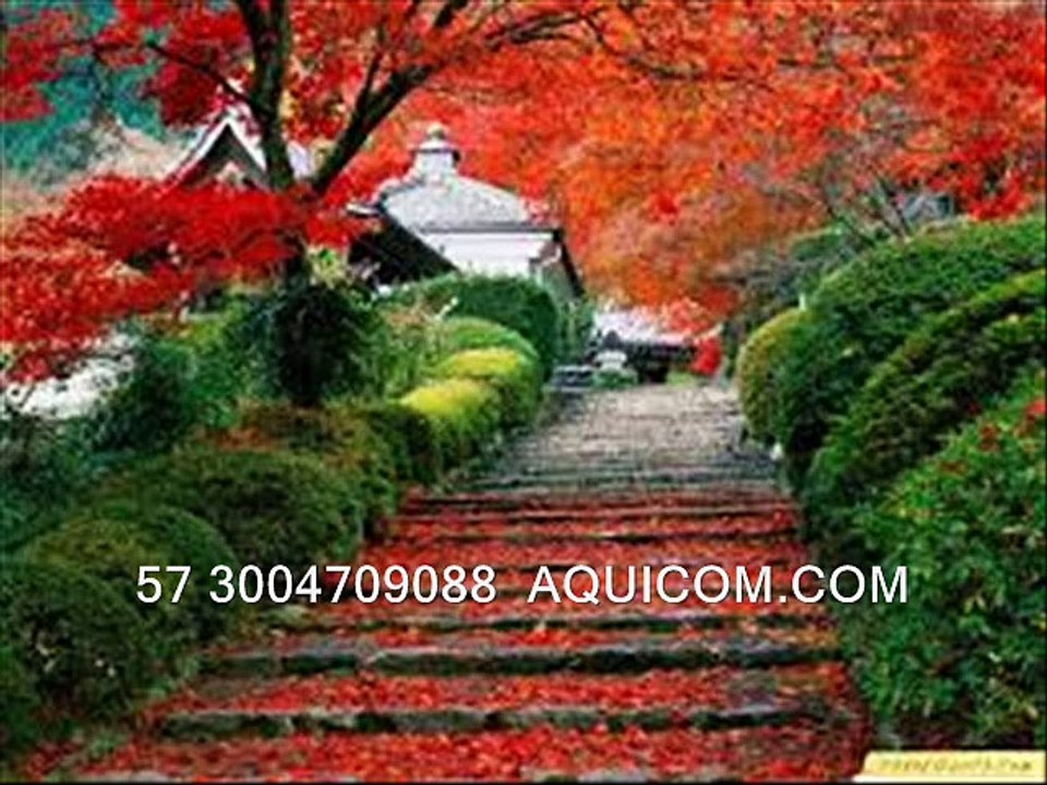 AQUICOM.COM - Class model internacional  -  57 3004709088 - Producciones mao mix dance - Reggaeton party magazin - aquic