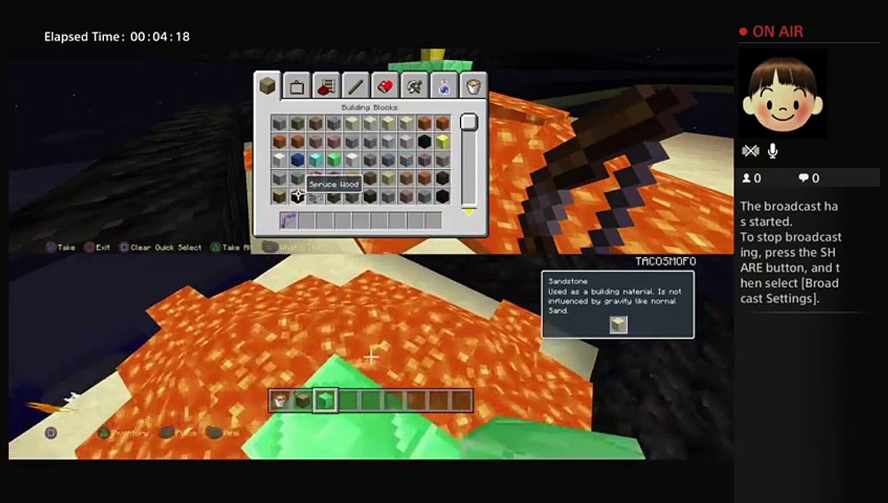 Minecraft (17)