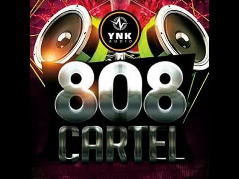 DOWNLOAD YnK Audio 808 Cartel ACiD WAV MiDi REX FLP AiFF