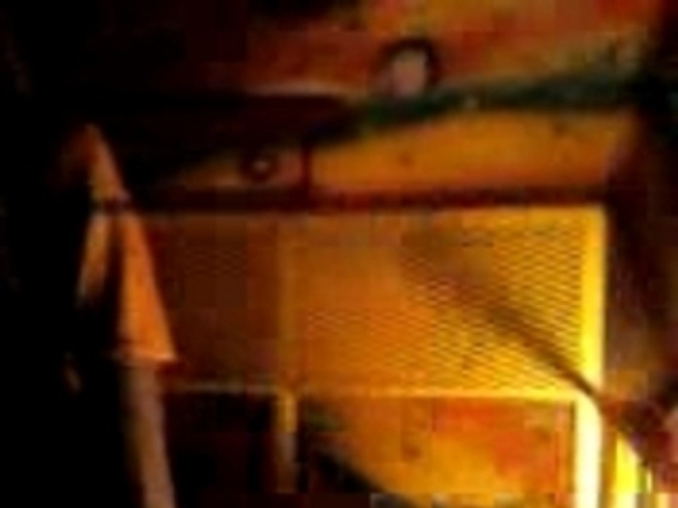Bug House