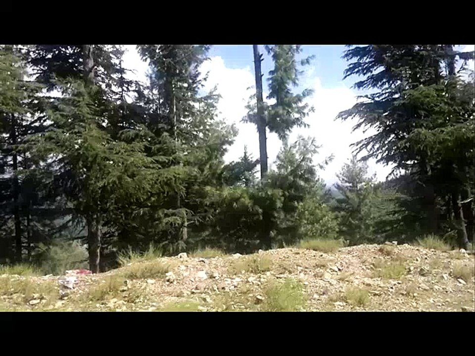 dir lower shahi 01