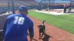 Professional Baseball Player Tries Hand at Dog Training