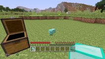 MINECRAFT GLITCHES Duplication and X-ray vision