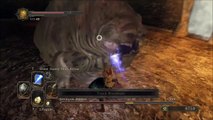 Dark Souls 2 Defeat the Covetous Demon New