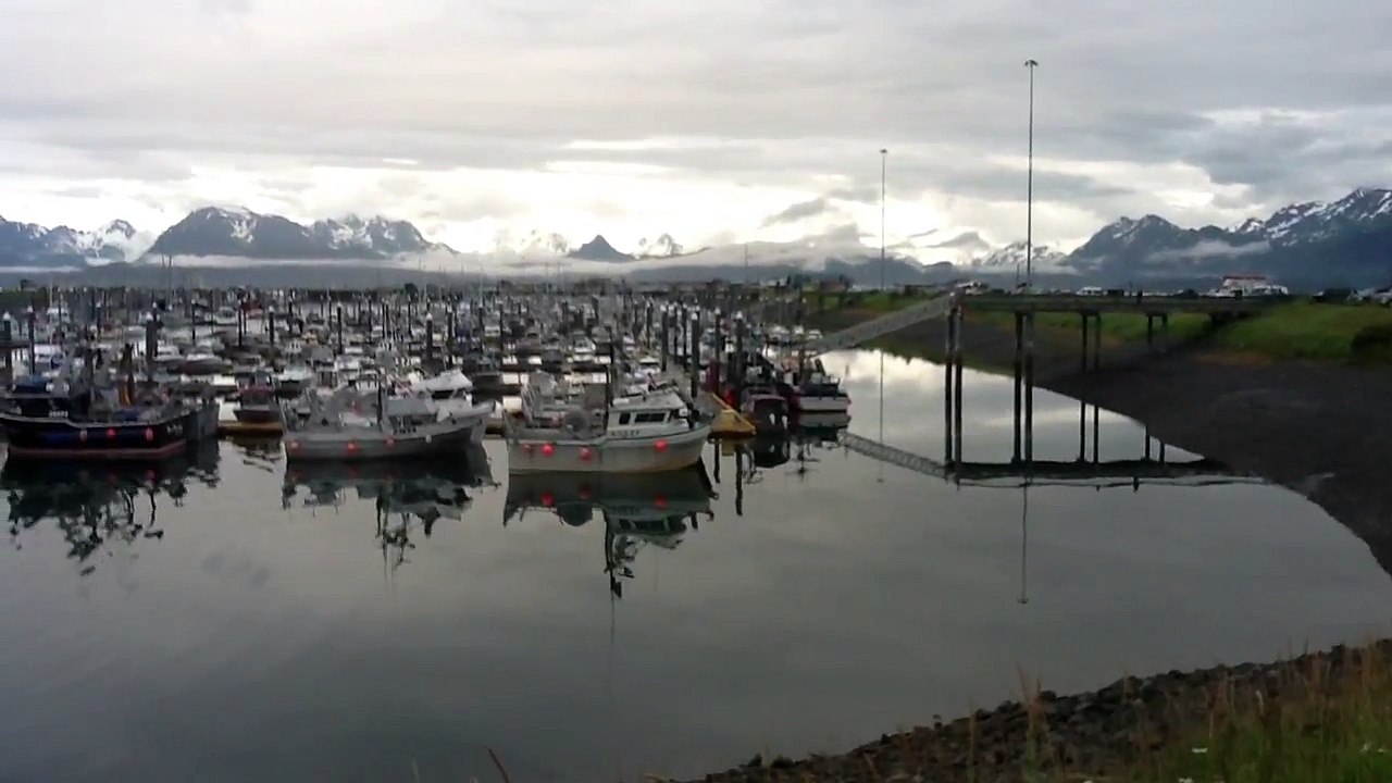 Kachemak Bay Homer 10