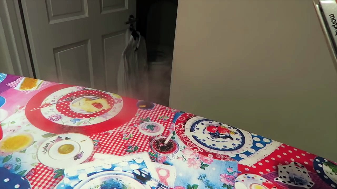 Cute Dog Tricks