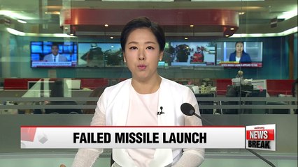 N. Korea missile launch attempt fails: S. Korea