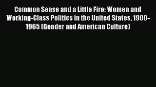 Download Common Sense and a Little Fire: Women and Working-Class Politics in the United States