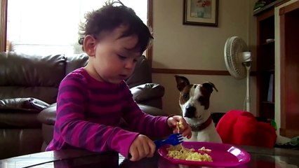 Cute Dogs And Adorable Babies  Funny Compilation