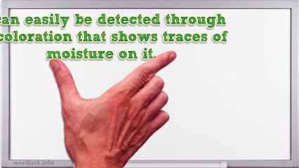 When Mold Removal and Remediation Is a Must