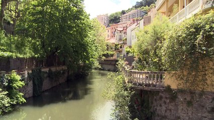 Festival Carte Blanche à Amélie les Bains