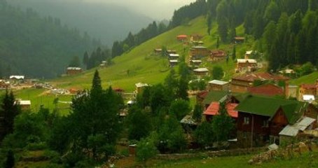 Karadeniz'in Zengin Florası Hastalara Şifa Olacak