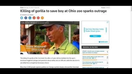 Killing of gorilla to save boy at Ohio zoo sparks outrage