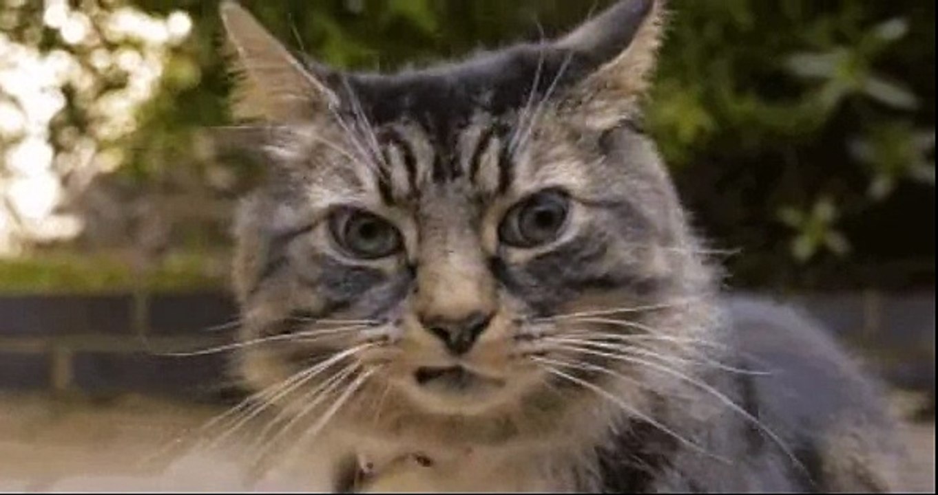 The Good, the Bad and the Ugly - Ennio Morricone