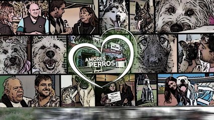 Amores Perros y Otros Amores - Desafio de la pipeta