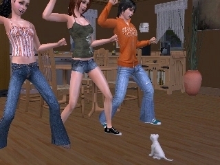 The sims 2