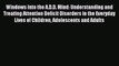 READ book Windows into the A.D.D. Mind: Understanding and Treating Attention Deficit Disorders