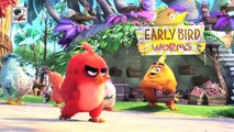 The Angry Birds Movie Review _ Jason Sudeikis, Josh Gad _ Hollywood Asia