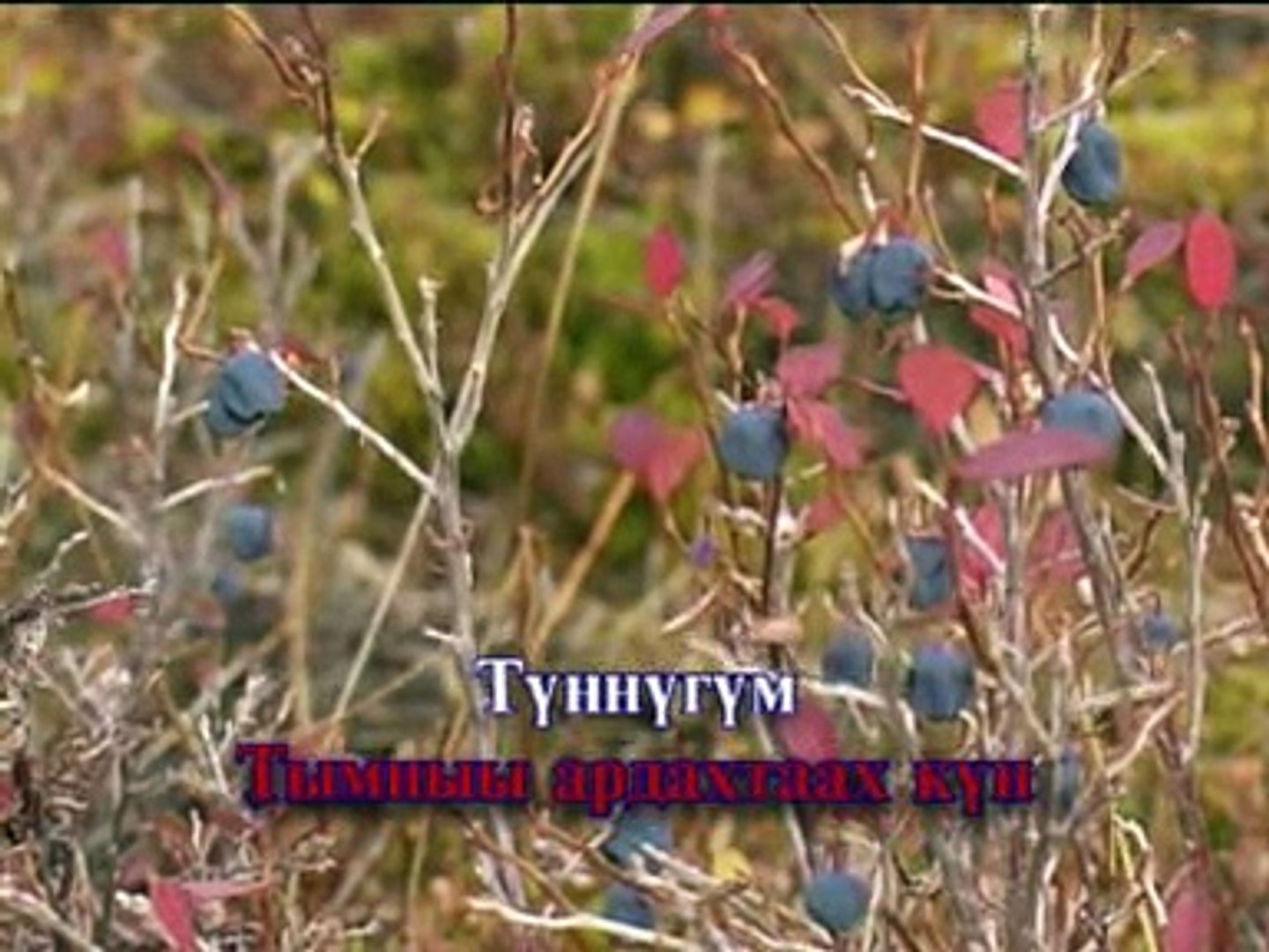 Сахалыы караоке 1 19