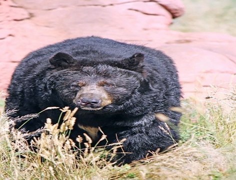 스포츠토토배팅 SuperCAR123.COM 가입코드: 6623 라이브토토사이트