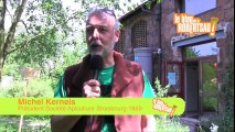 Festival Abeilles et Biodiversité 2016