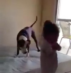 Este perro también quiere saltar en la cama...