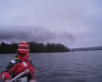 Elles tombent nez à nez avec quelque chose d'extraordinaire pendant leur balade en canoe