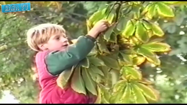 Fail Compilation 2015 Sexy Woman Funny Fail Videos 2015 Best Funny Home Videos