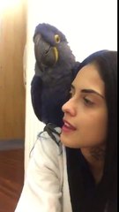 MC TATI ZAQUI FEZ MÚSICA PRA SUA ARARA , YARA .