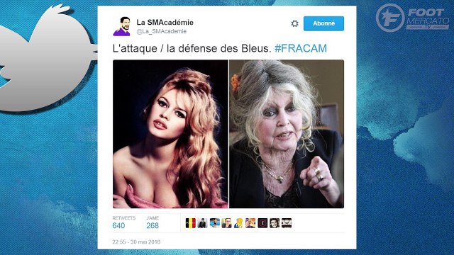 Les meilleurs tweets de France-Cameroun !