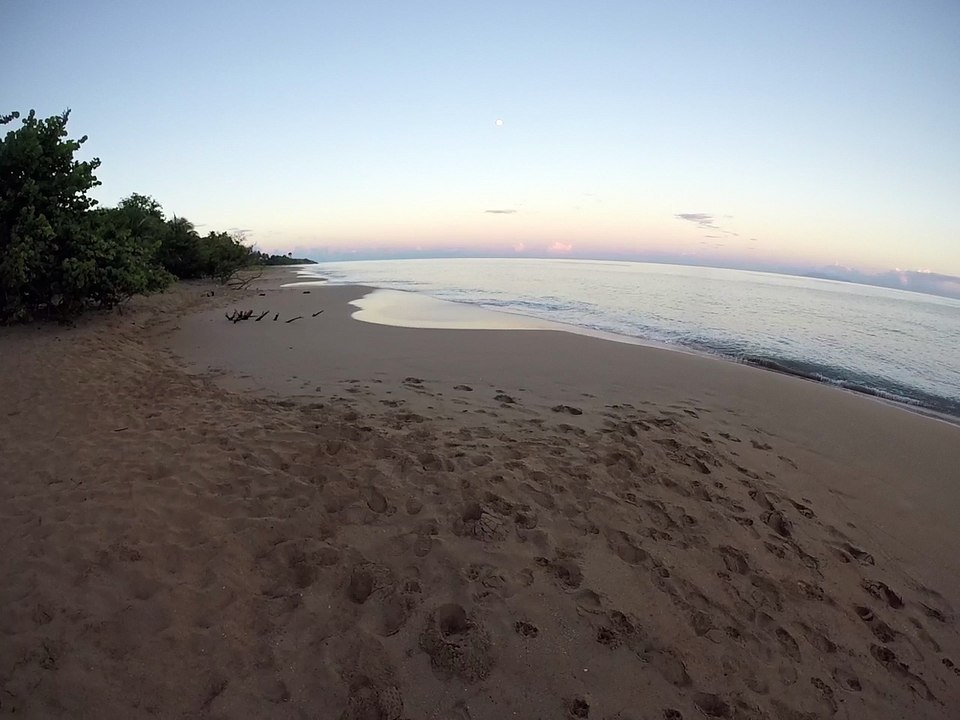 Vos vacances en Guadeloupe dans une location de gite proche de la plage