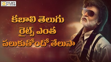 Kabali Movie Telugu Rights Sold for Huge Price - Filmyfocus.Com