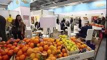 Egypt, Fruit logistica, Berlin 2016 3D Low, 240p