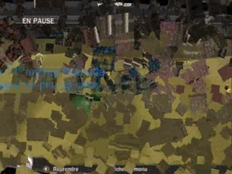 Lyon-sochaux trophée des champions 2007