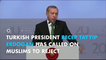 Turkey's Erdogan warns Muslims against birth control