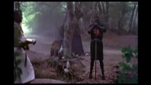 Monty Python and the holy grail of computers