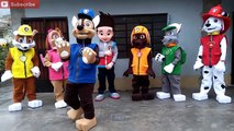 La Patrulla Canina BAILANDO | Paw Patrol Capitulos ESPAÑOL Completos | Superheroes in Real Life