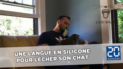 Une langue en silicone pour lécher son chat