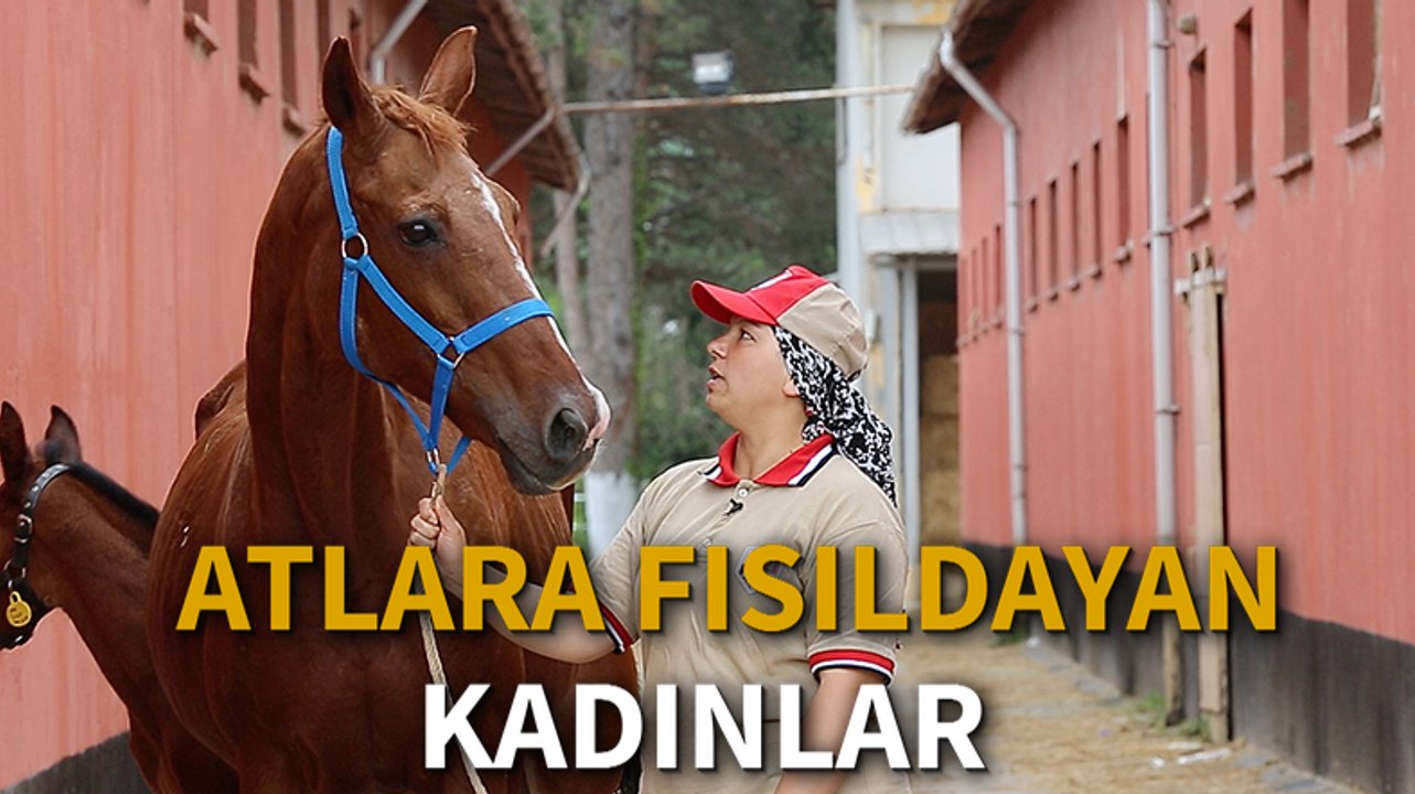 Atlara fısıldayan kadınlar