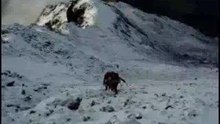 Izztaccihuatl